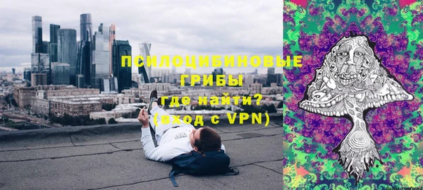 прущая мука Алзамай
