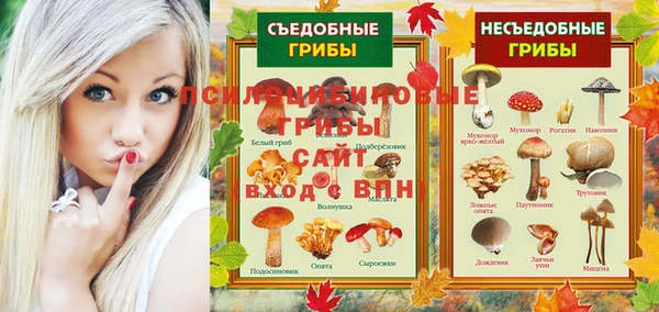 мет Алексин