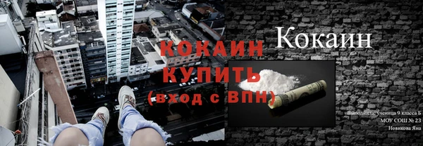 мет Алексин
