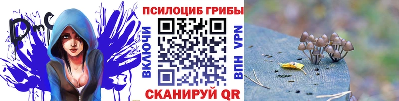 купить наркотик  KRAKEN зеркало  Псилоцибиновые грибы Cubensis  Нефтекамск 